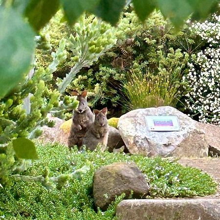 Bed and Breakfast Hobart Hideaway Pods Kingston Exterior foto