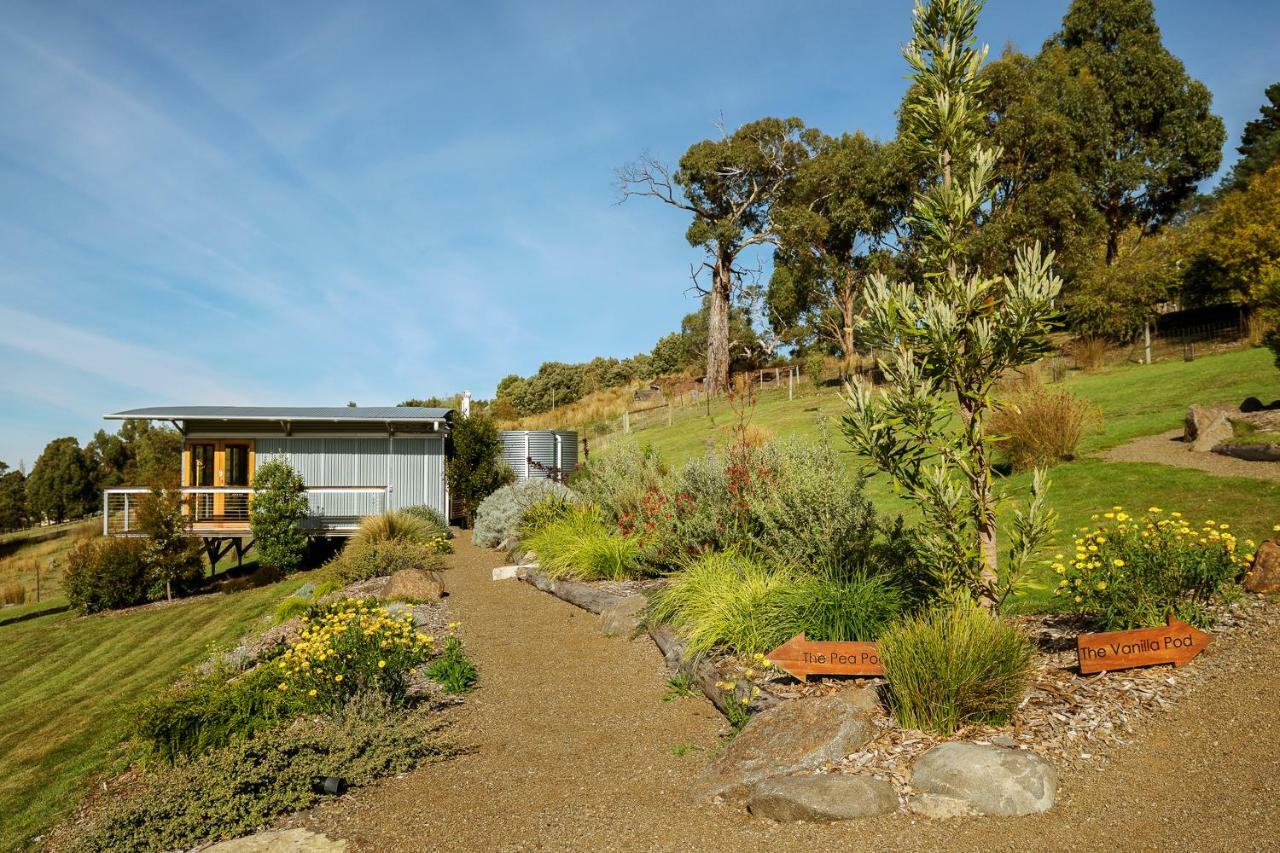Bed and Breakfast Hobart Hideaway Pods Kingston Exterior foto