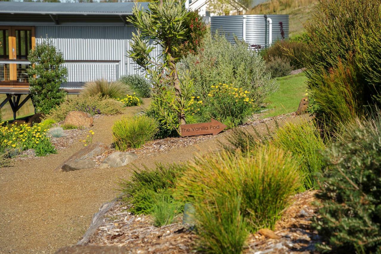 Bed and Breakfast Hobart Hideaway Pods Kingston Exterior foto